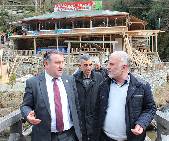 tana07.jpg tana07.jpg