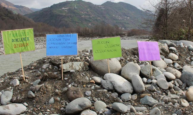 tas1.20130130172004.jpg tas1.20130130172004.jpg