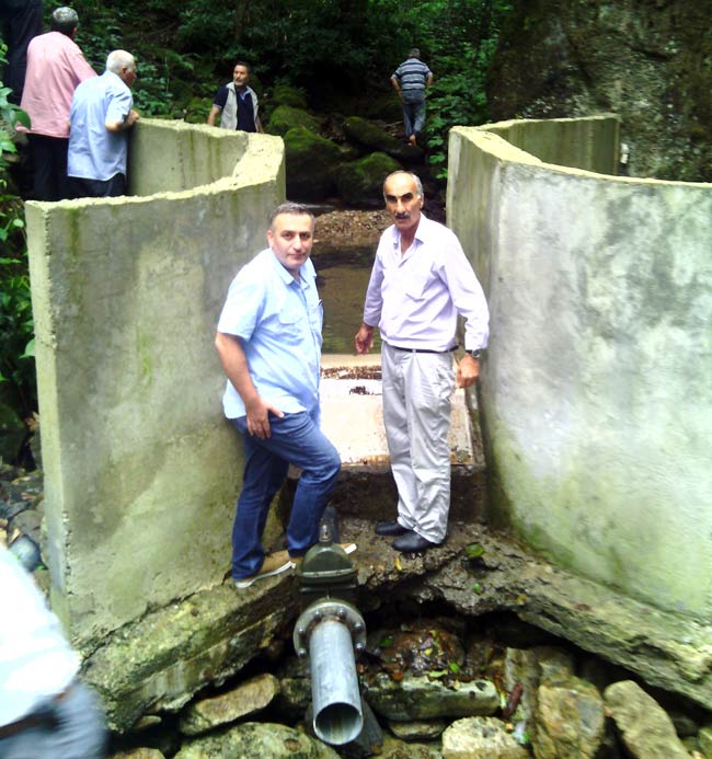 tomasli2.jpg tomasli2.jpg