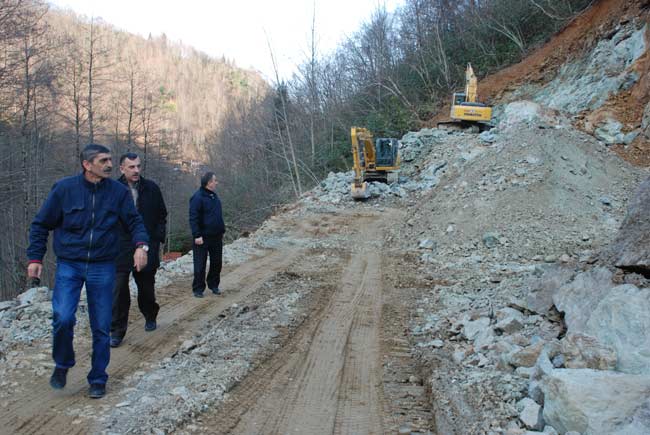 tomaslisu1.jpg tomaslisu1.jpg