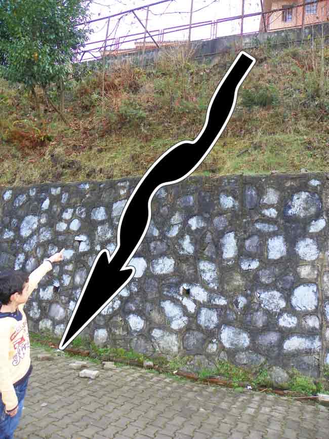 ucurum2.jpg ucurum2.jpg