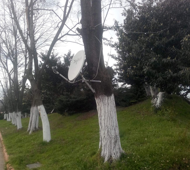 uydukavak.jpg uydukavak.jpg