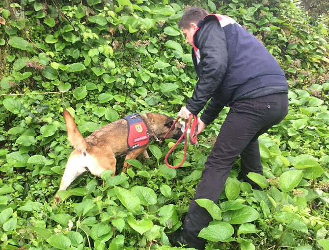 uyusturucu1-001.jpg uyusturucu1-001.jpg