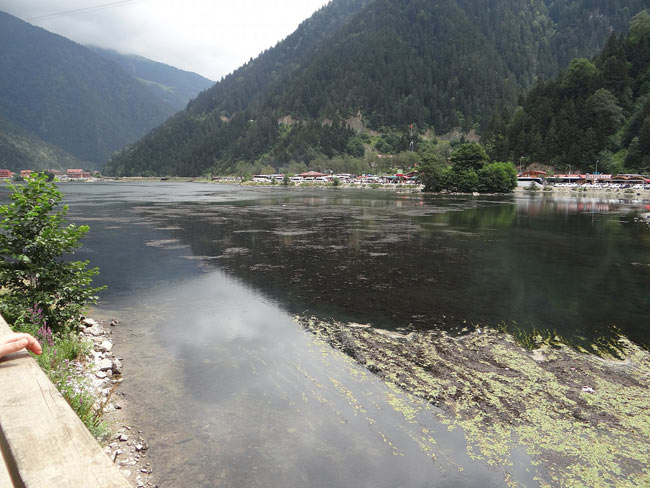 uzungol2.20140802130311.jpg