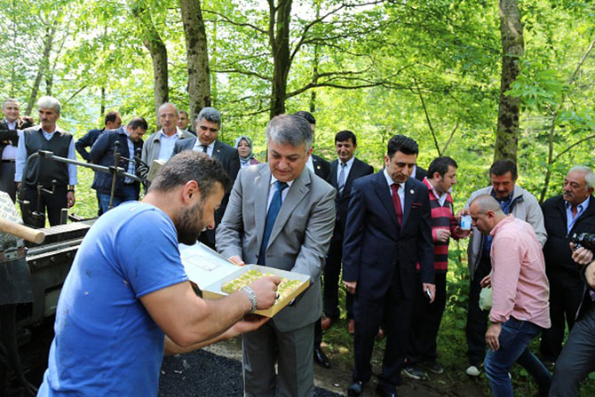 val4-001.jpg val4-001.jpg