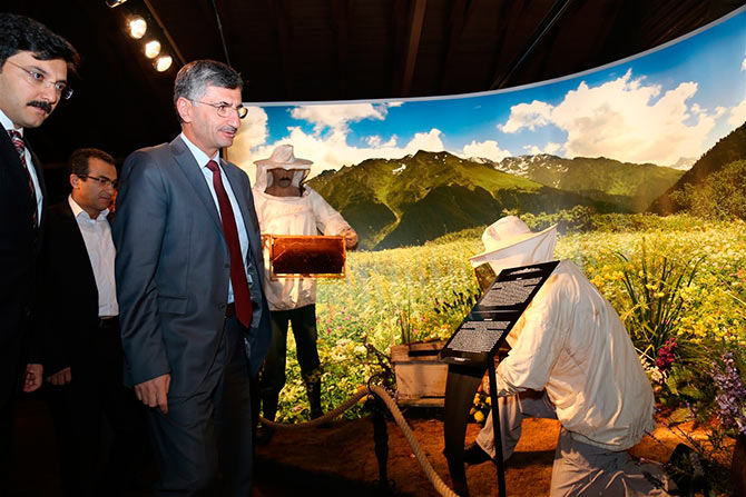 vali1-014.jpg vali1-014.jpg