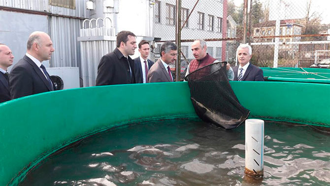 vali4-010.jpg vali4-010.jpg