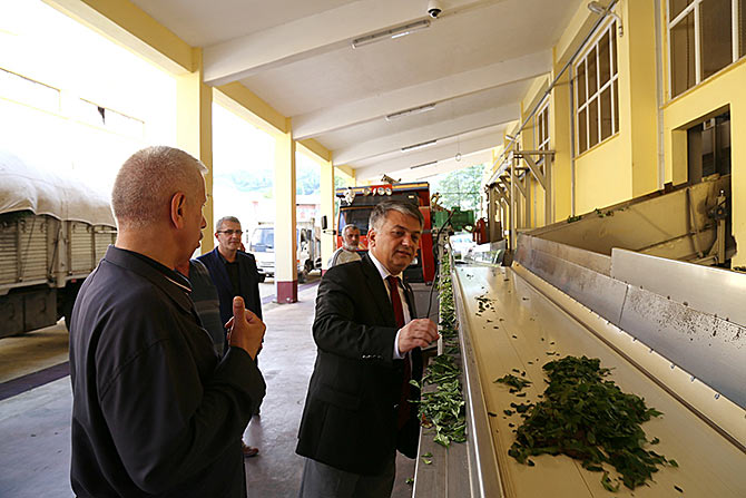 valicay1.jpg valicay1.jpg