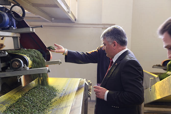 valicay2.jpg valicay2.jpg