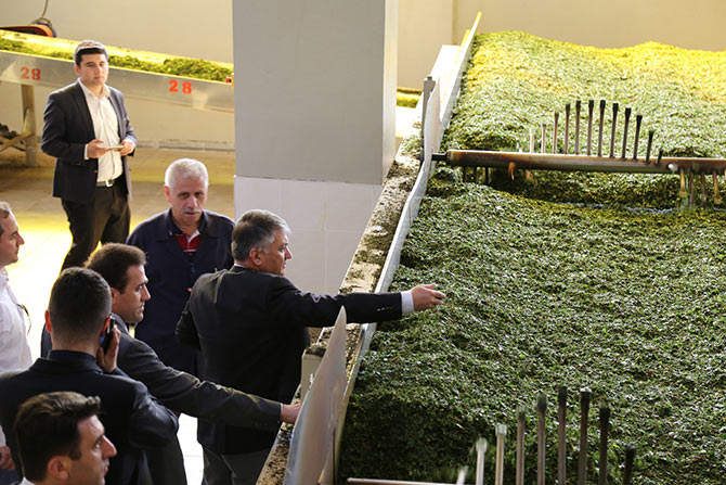 valicay3.jpg valicay3.jpg