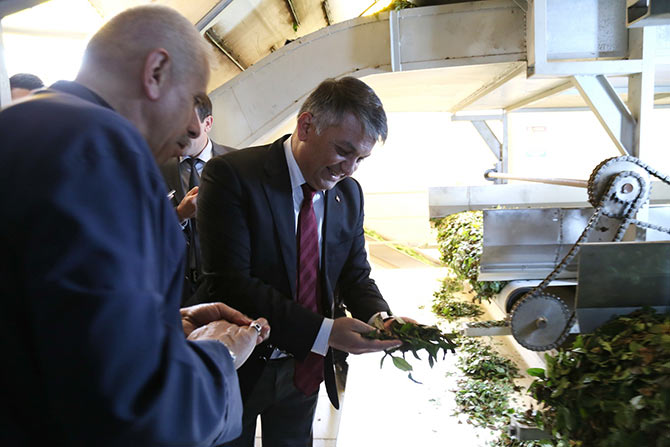 valicay4.jpg valicay4.jpg