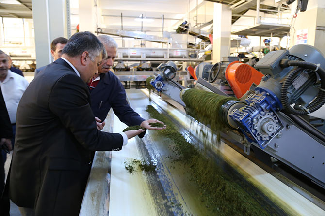 valicay6.jpg valicay6.jpg