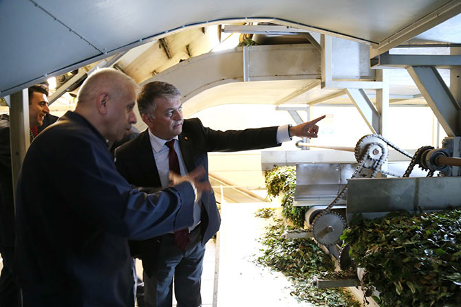 valicay7.jpg valicay7.jpg