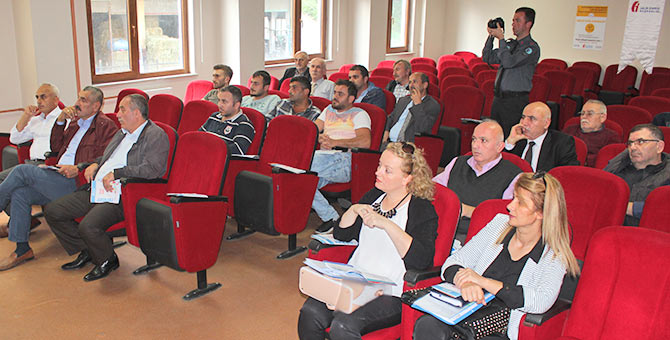 verg3-001.jpg verg3-001.jpg