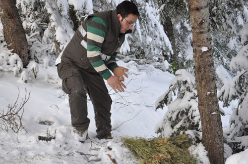 yaban2.jpg yaban2.jpg