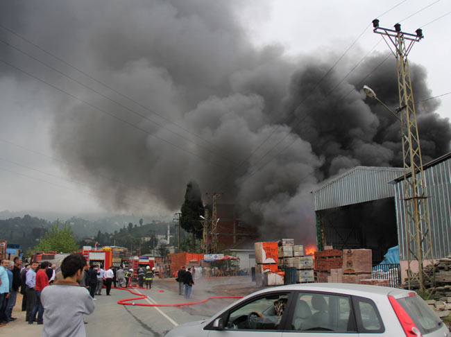 yang.20130510195251.jpg yang.20130510195251.jpg