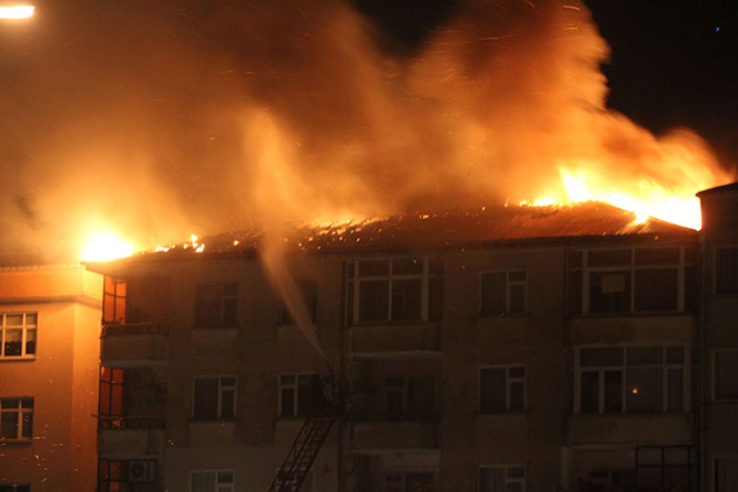 yang1-005.jpg yang1-005.jpg