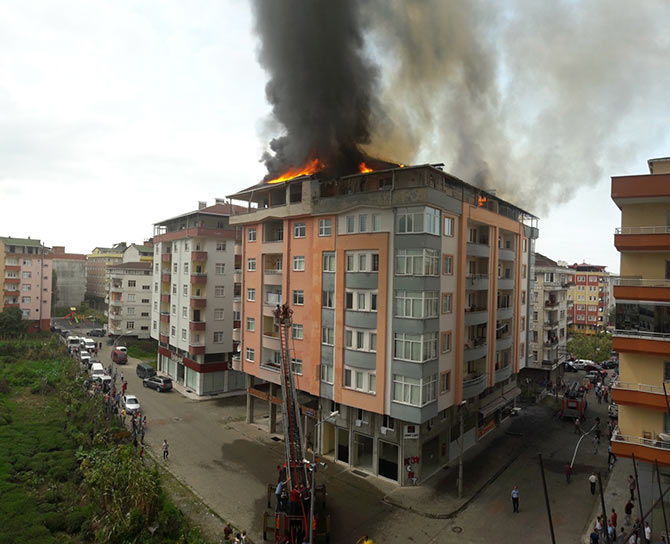 yang1-009.jpg yang1-009.jpg