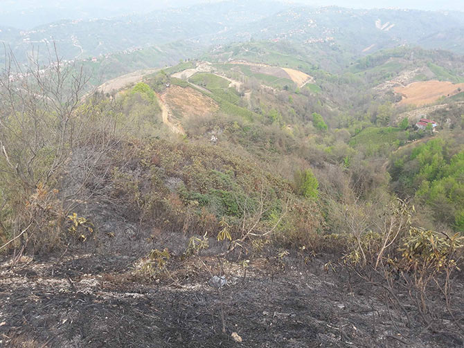 yang1-014.jpg yang1-014.jpg