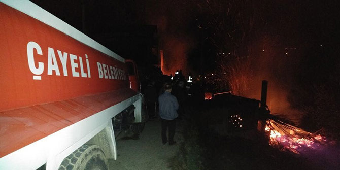 yang1-016.jpg yang1-016.jpg