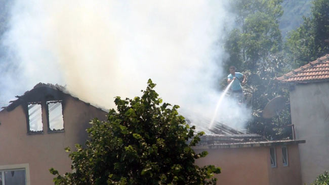 yang1.20130621171454.jpg yang1.20130621171454.jpg