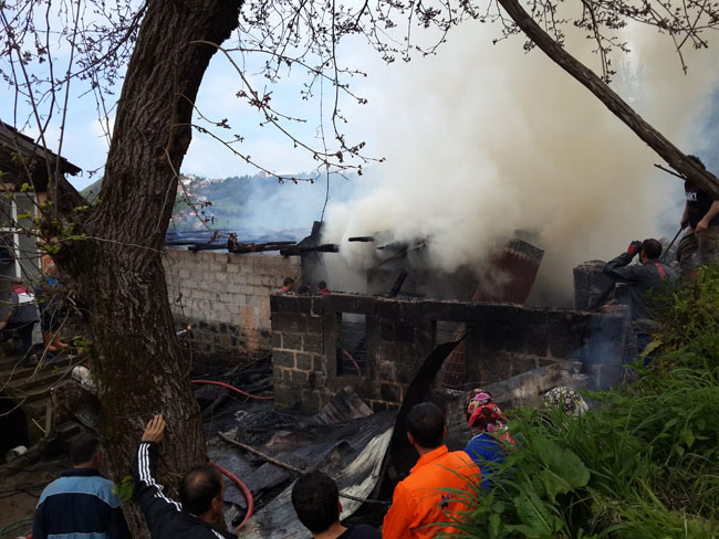 yang1.20140427143145.jpg yang1.20140427143145.jpg