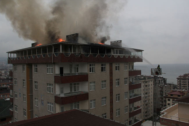 yang1.20150324183840.jpg yang1.20150324183840.jpg