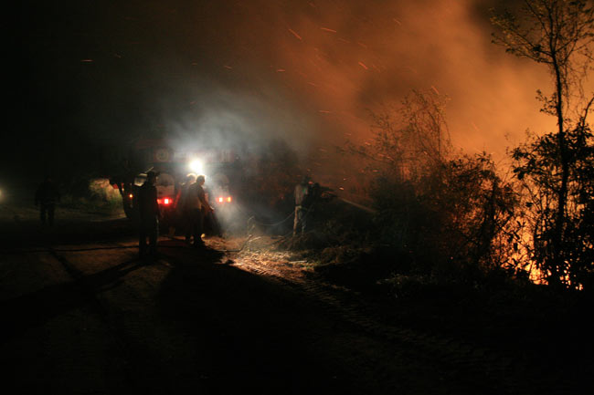 yang11.jpg yang11.jpg