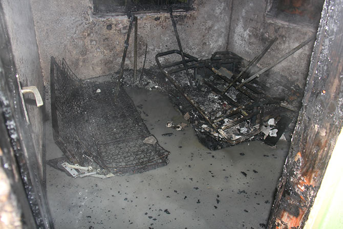 yang2-013.jpg yang2-013.jpg