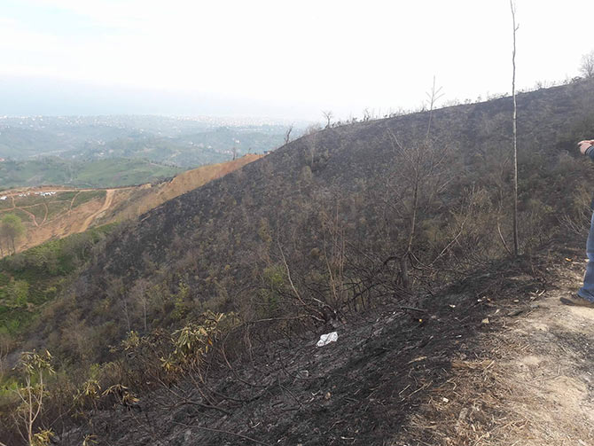 yang2-015.jpg yang2-015.jpg