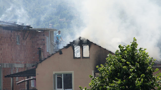 yang2.20130621172148.jpg yang2.20130621172148.jpg