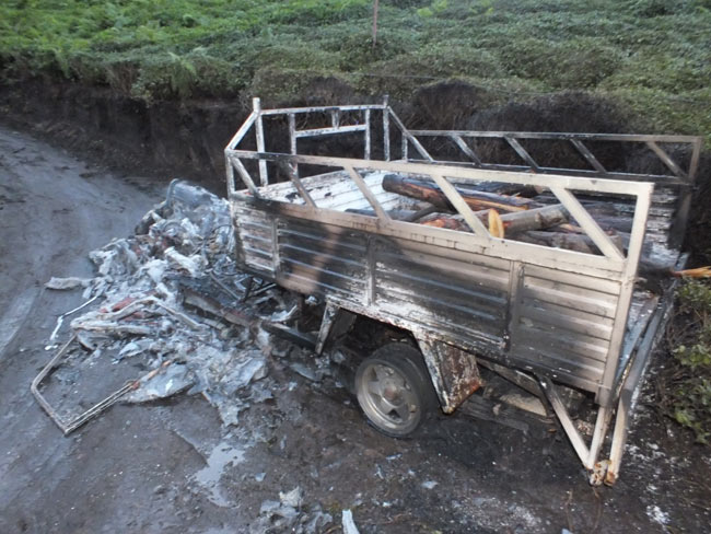 yang2.20131106191014.jpg yang2.20131106191014.jpg