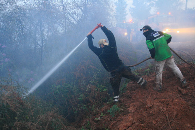 yang2.20140326084137.jpg yang2.20140326084137.jpg