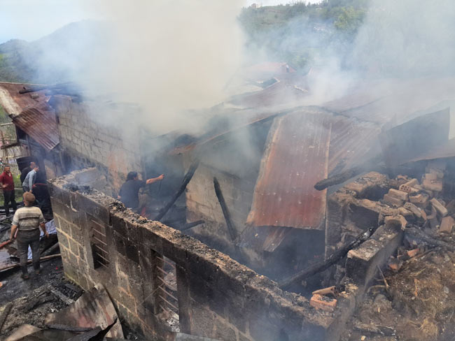 yang2.20140427143136.jpg yang2.20140427143136.jpg