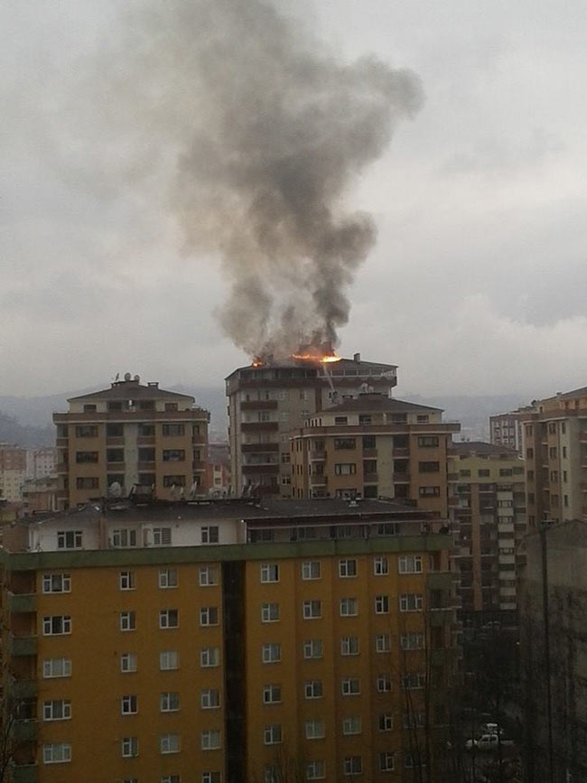 yang2.20150324183856.jpg yang2.20150324183856.jpg