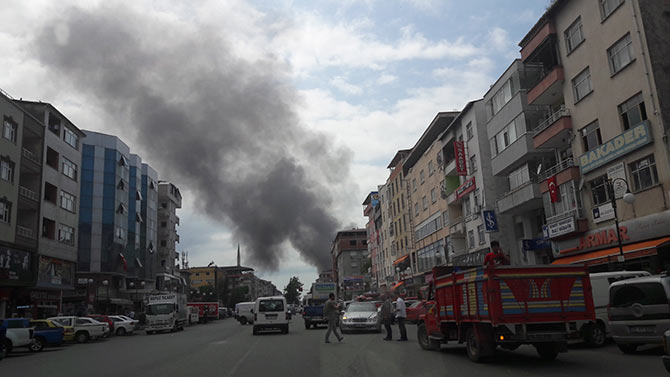 yang3-006.jpg yang3-006.jpg