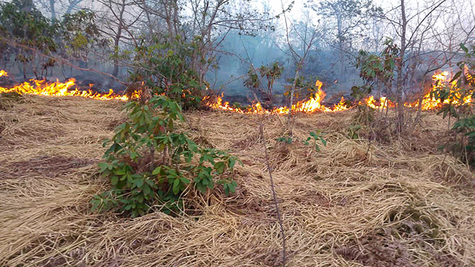 yang3-009.jpg yang3-009.jpg