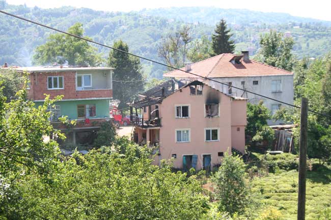 yang3.20130621172034.jpg yang3.20130621172034.jpg