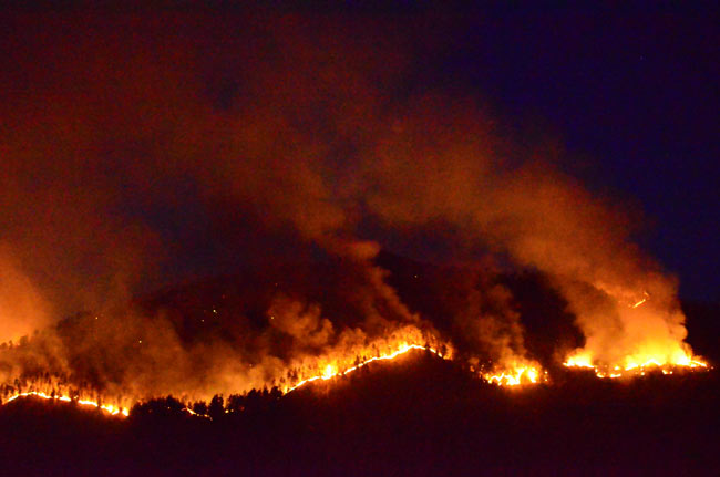 yang3.20140325233002.jpg yang3.20140325233002.jpg