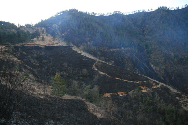 yang3.20140326084119.jpg yang3.20140326084119.jpg