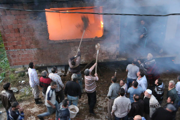 yang3.20141110104339.jpg yang3.20141110104339.jpg