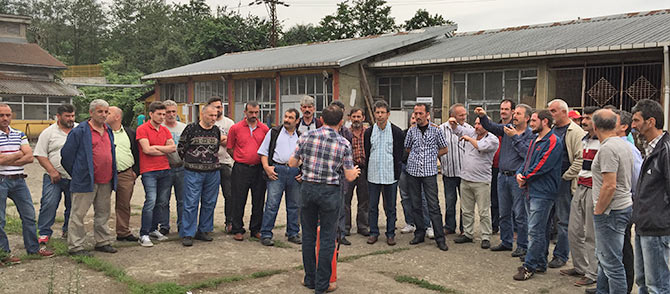 yang4-001.jpg yang4-001.jpg