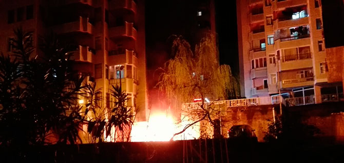 yang4-007.jpg yang4-007.jpg