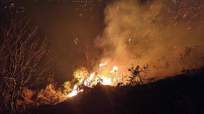 yang4-008.jpg yang4-008.jpg