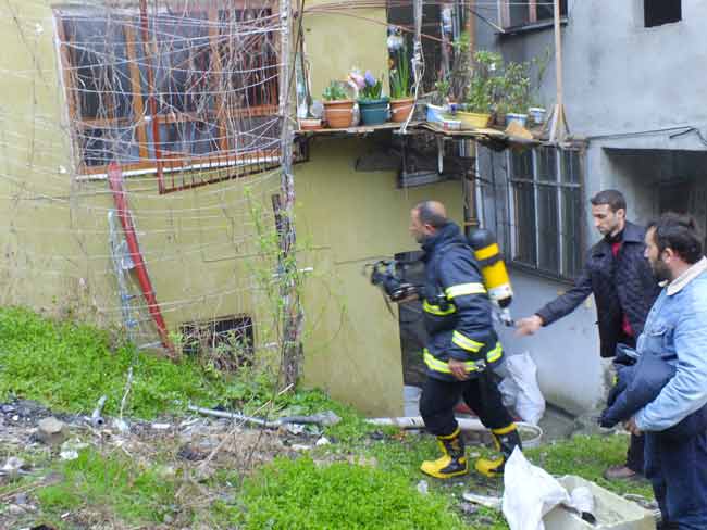 yang4.20130321181600.jpg yang4.20130321181600.jpg