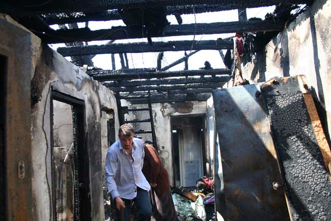 yang4.20130621172216.jpg yang4.20130621172216.jpg