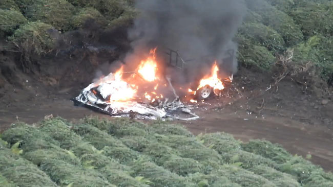 yang4.20131106191000.jpg yang4.20131106191000.jpg