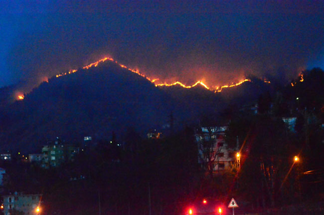 yang4.20140325232950.jpg yang4.20140325232950.jpg