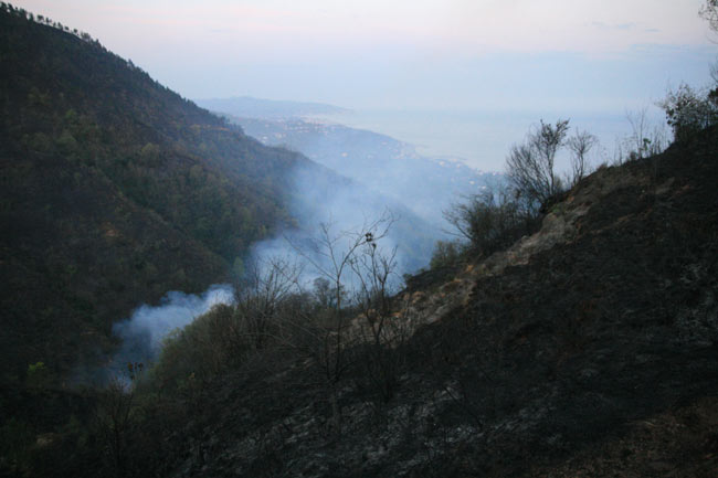 yang4.20140326084106.jpg yang4.20140326084106.jpg