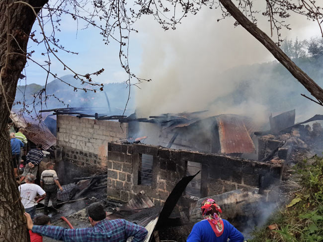 yang4.20140427143116.jpg yang4.20140427143116.jpg